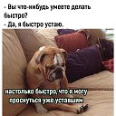 ���� ������ ����������, ������, 52 ���� - ��������� 1 ������� 2024 � ������ ������ ��������
