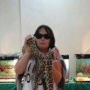 ���� �������, ����������, 71 ��� - ��������� 20 �������� 2024 � ������ ���� ����������