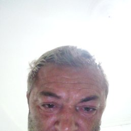 , 48 , 