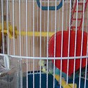 ���� ����, ����, 40 ��� - ��������� 20 ������ 2025 � ������ ������ ��������