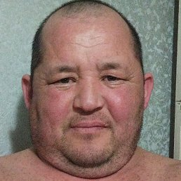 �����, ���������, 41 ���