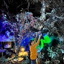 6.12.2025. � ����� ������� ��������. ������� ������� �������� ����������� �������.