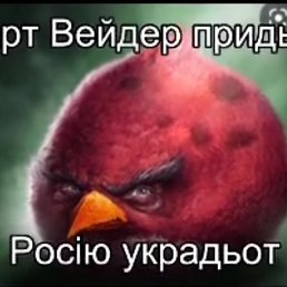 ���� �����, ����, 86 ��� - ��������� 9 ������� 2024