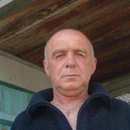 , 66, 