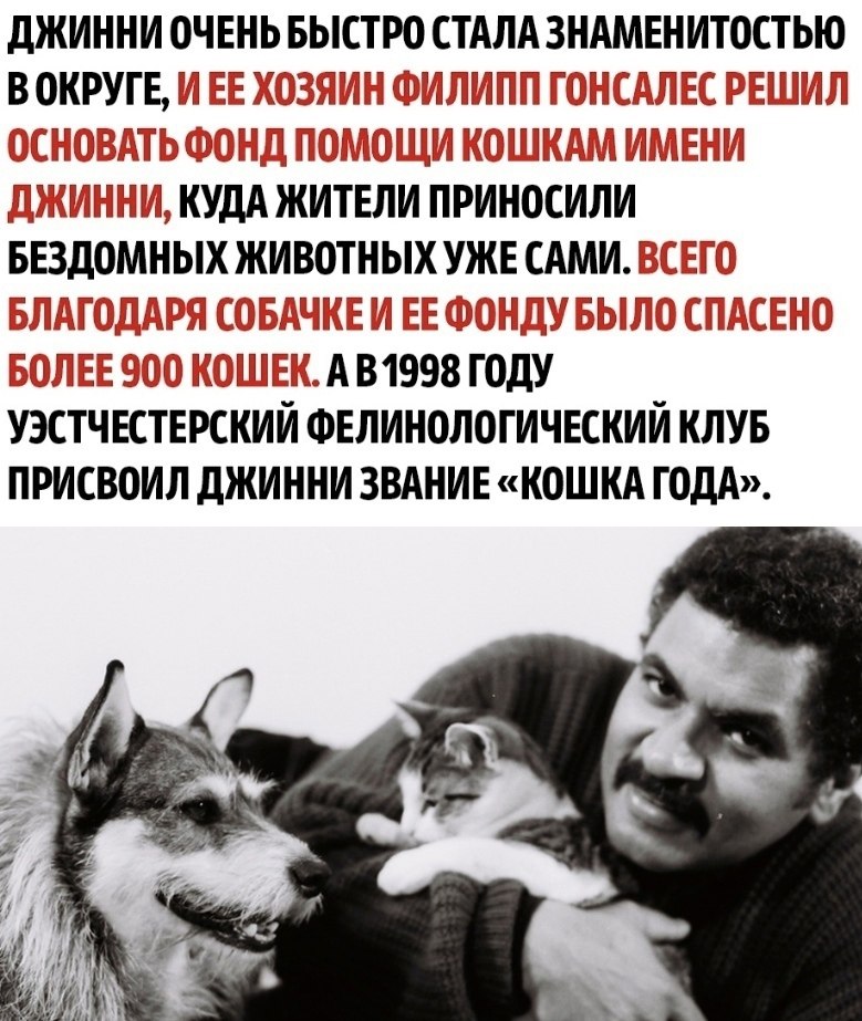 �� ������ ���� ������ ������� - 3