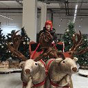 ���� �������, ������, 49 ��� - ��������� 8 ������ 2026