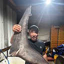 ���� �������, ������, 47 ��� - ��������� 26 ������� 2024 � ������ ���� ����������