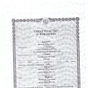 ���� �������, ������, 50 ��� - ��������� 23 �������� 2024 � ������ ���� ����������