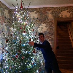 �����, ���������, 38 ���