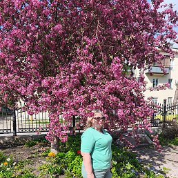 �����, ���������, 49 ���