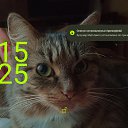 ���� �������, ������, 51 ��� - ��������� 21 �������� 2025 � ������ ���� ����������