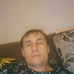 , 41, 
