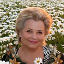 ���� ����, �����������, 67 ��� - ��������� 27 ����� 2026