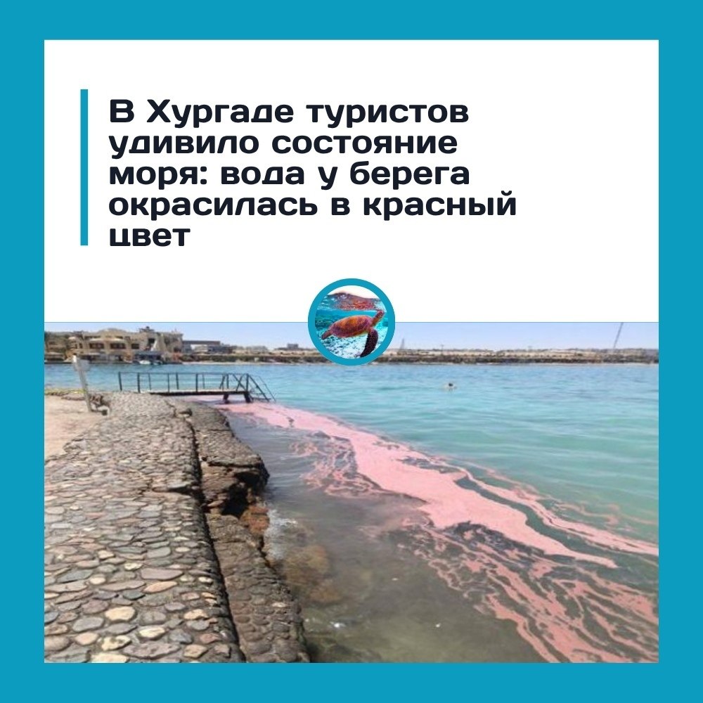 o�e�� �o�a � �p�a�e c�a�a �pac�o�? �p�a�e ��p�c�o� ������ �eo������ ��e� �op�. o�a � �epe�a ... - 3