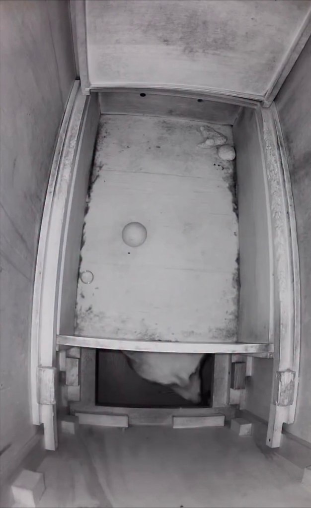 �o�� � �op��e ���o���e, �o��o�� �a�e �p� �a����� �poc�op�o�o �ec�a o�� �ce pa��o ����� �c�a�� �ec��� ...