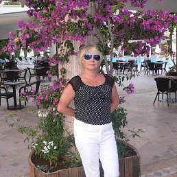 ���� �������, �������� - ��������� 14 ������ 2026