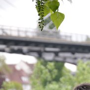 �������, 25 ���, ������