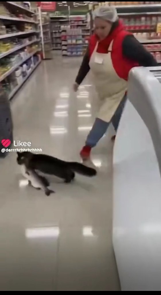 �� ����� �����, ��� ��������� ���� ���!! - 2