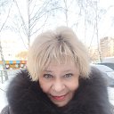 ���� ��������, ������, 56 ��� - ��������� 5 ������ 2026