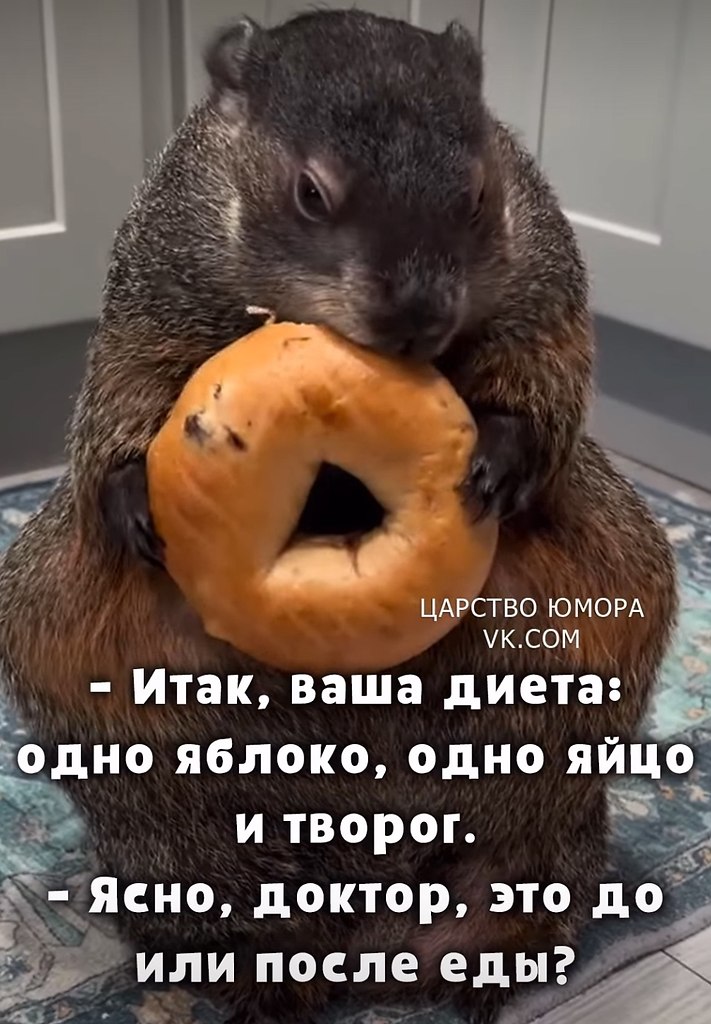  - 17  2025  08:09