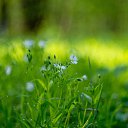 ���� Yuriy, ��������, 48 ��� - ��������� 6 ��� 2025 � ������ �����