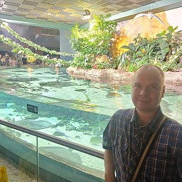 ���������, ������, 44 ����