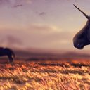 ���� &spades;Queen Of Swords&spades;, ���� - ��������� 19 ������� 2025