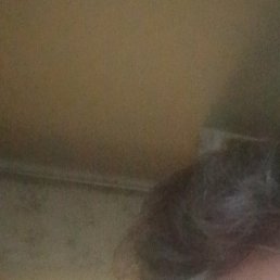 ����, �����