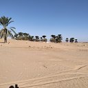 ���� Ali, ����, 30 ��� - ��������� 14 ����� 2026 � ������ ���� ����������