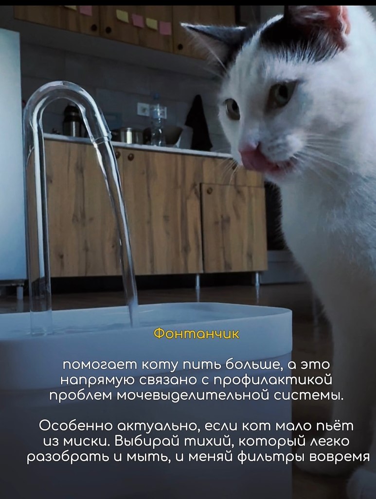 ��� �������� ��� ����-�����������, ��� ������� ��������� ����: ����, ����, ������, ������ � ��� � ... - 2