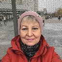 ���� �������, �����-���������, 61 ��� - ��������� 23 ������� 2025 � ������ ���� ����������