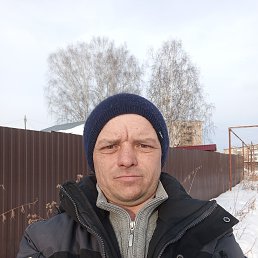 �������, 41 ���, ���������