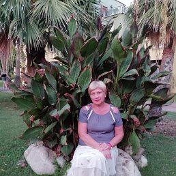 , 64,  