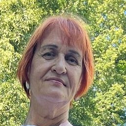 �������, �����-���������, 66 ���