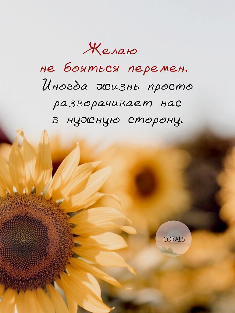   - 15  2025  16:05