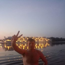 ������, 41 ���, �����