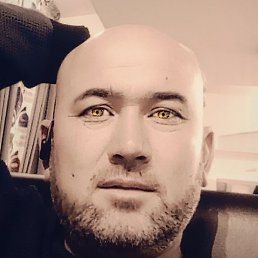 �����, ���������, 43 ����