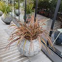 ���� ������ �����, �������, 55 ��� - ��������� 23 ������� 2025 � ������ �����