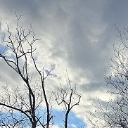 �������, 39 ���, ������