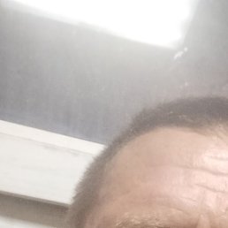 �����, ������, 53 ����