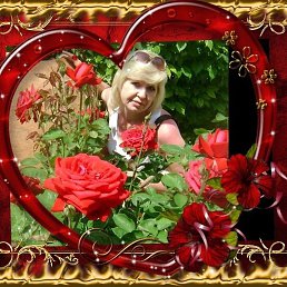 ���������, ���������, 58 ���