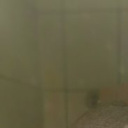 �������, 54 ����, ����