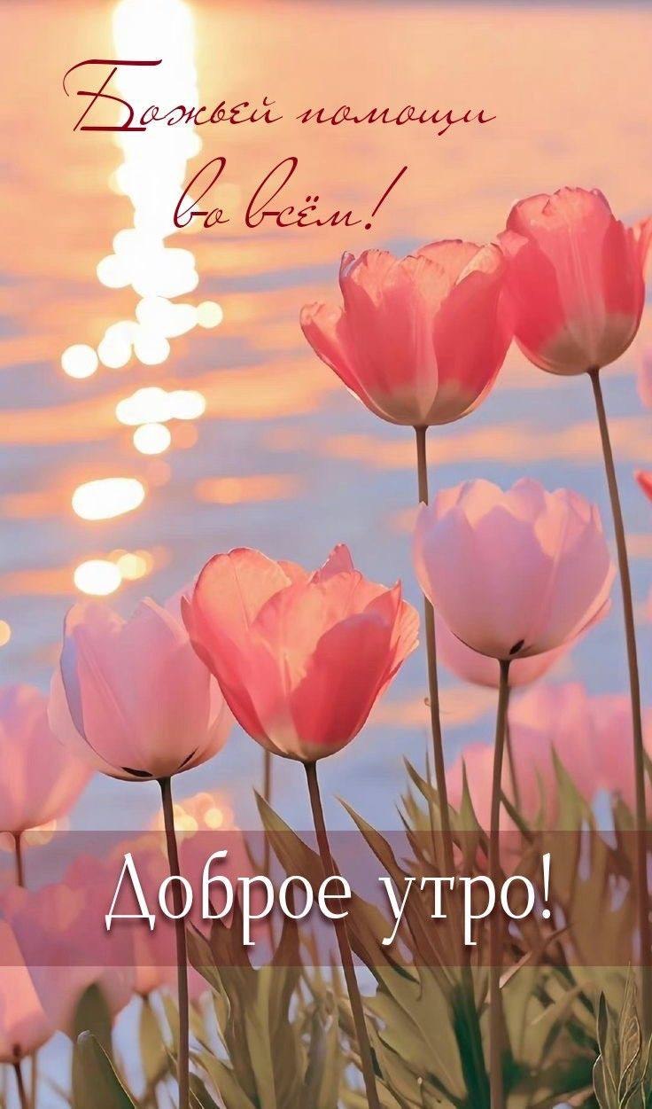 Luchik - 14 апреля 2024 в 17:28