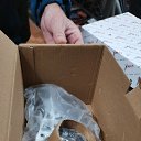 ���� �����, ���������, 38 ��� - ��������� 4 ������� 2023 � ������ ���� ����������