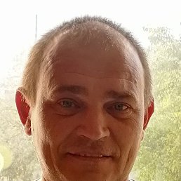, 44, 