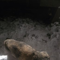 ���� ���������, �������, 39 ��� - ��������� 2 ������ 2026