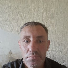 ������, �����������, 48 ���