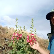 ����, 20 ���, ����
