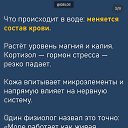 ���� �����, ������, 66 ��� - ��������� 3 ���� 2026 � ������ ������ ��������