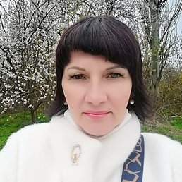 , , 55 